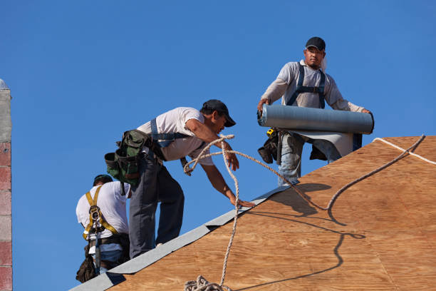 Best Residential Roofing Contractor  in Nashville, MI
