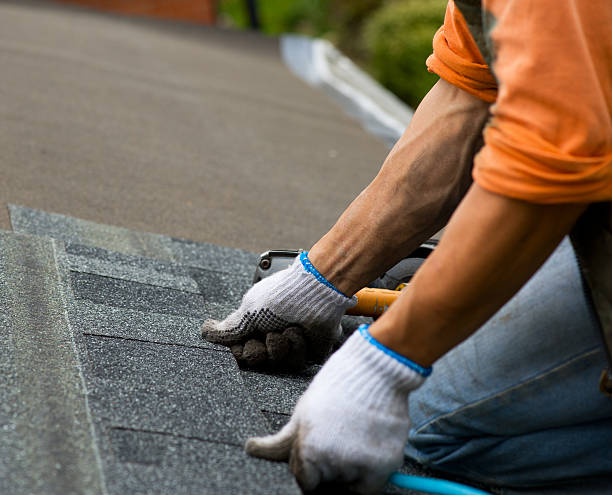 Quick and Trustworthy Emergency Roof Repair Services in Nashville, MI