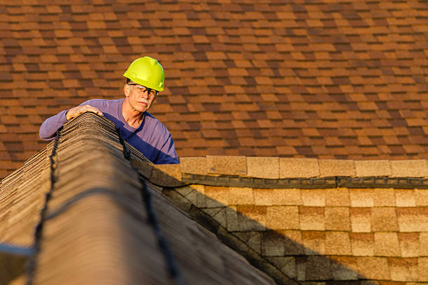 Best Roof Leak Repair  in Nashville, MI