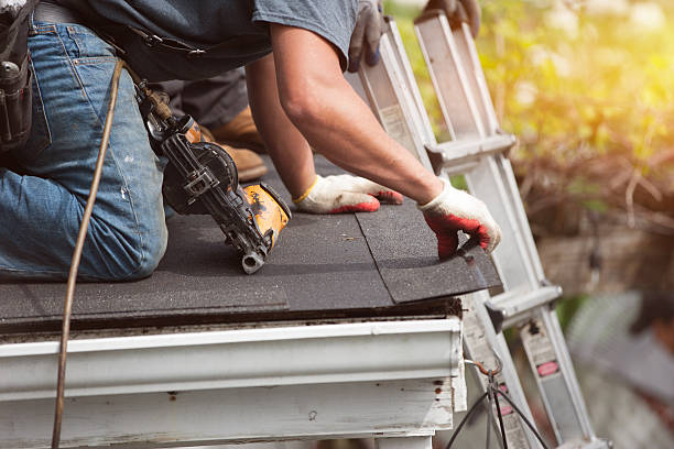 Best Flat Roof Repair Services  in Nashville, MI
